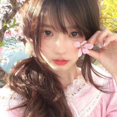 29片棕榈叶